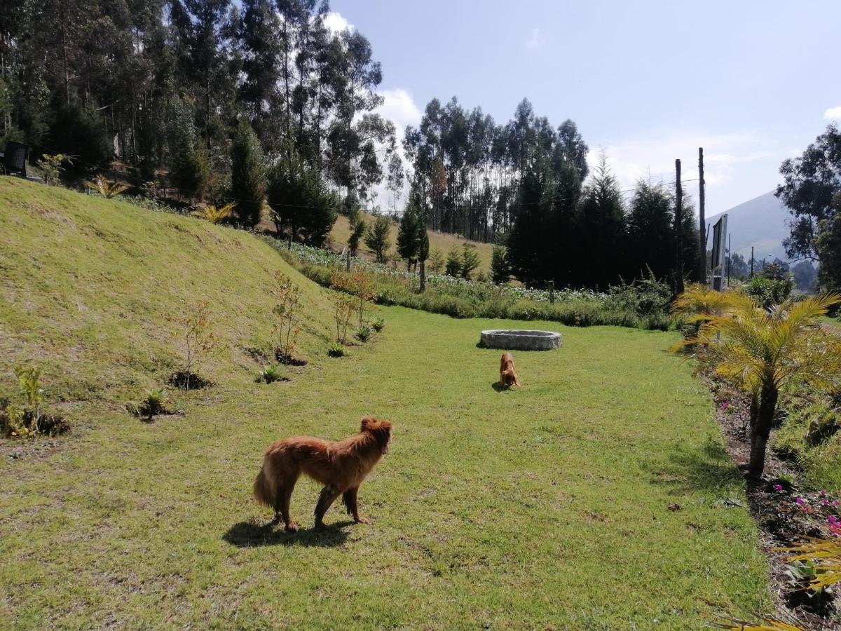 Samay Toa Hotel Otavalo Eksteriør billede