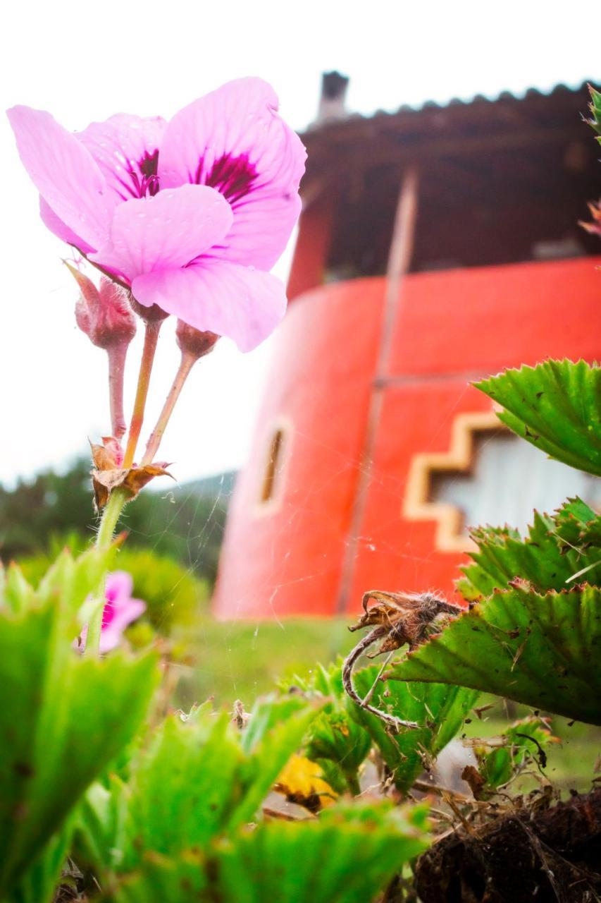 Samay Toa Hotel Otavalo Eksteriør billede